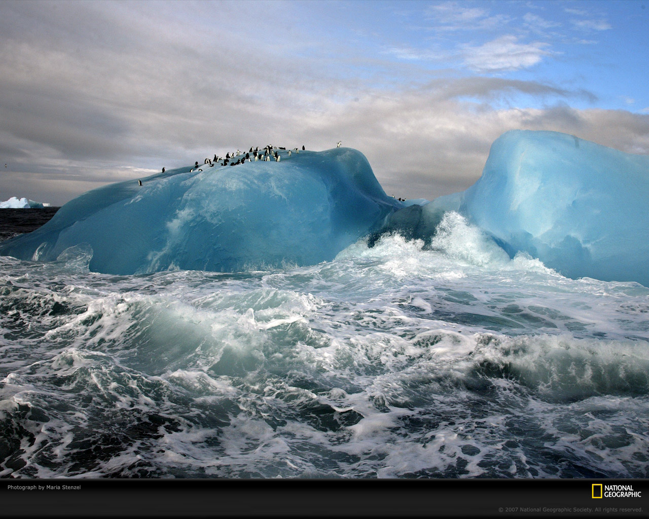 Iceberg blu con pinguini, mare, 1280x1024 720p, Acer Nitro