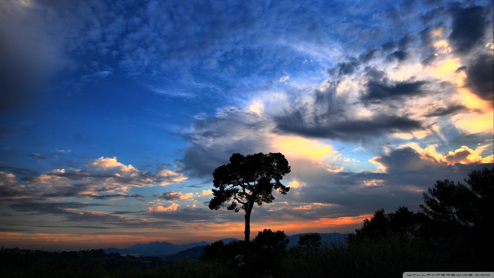 Albero silhouette al tramonto, 1920x1080 Full HD, Desktop