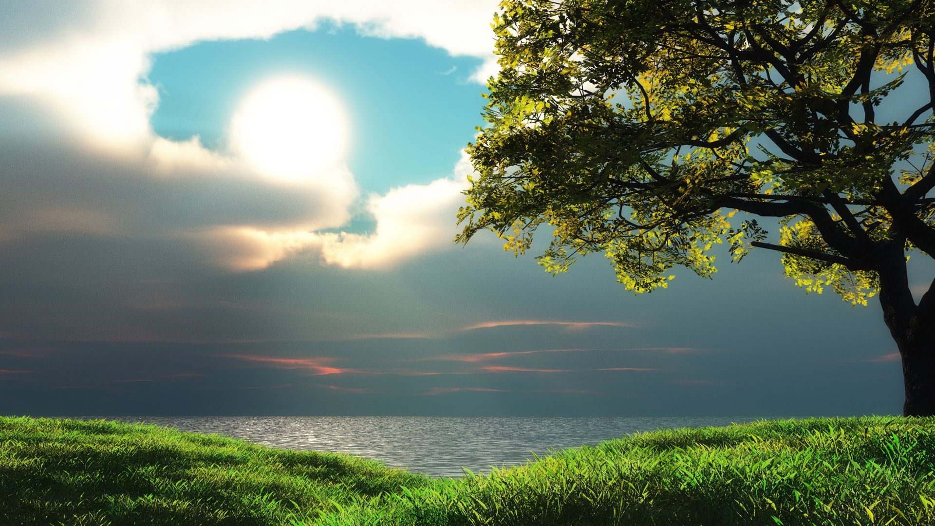 Albero collina prato oceano, 1920x1080 Full HD, PC