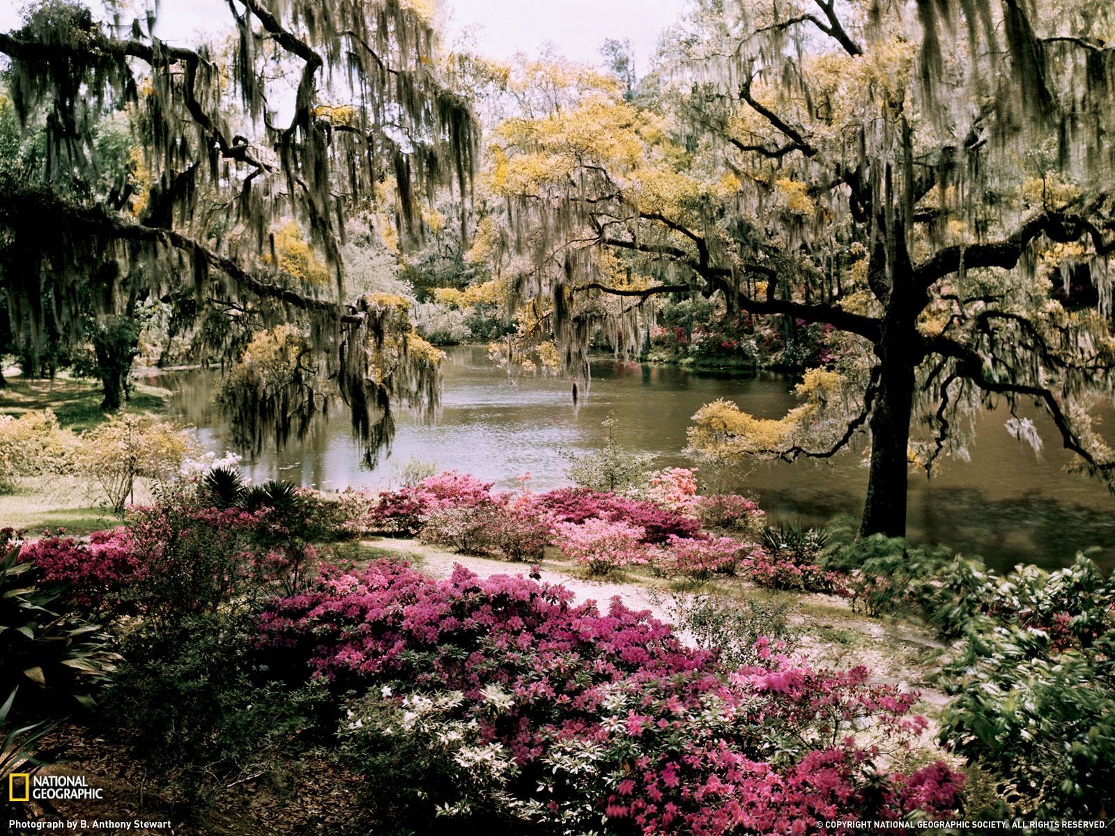 Giardino primaverile con lago e azalee, 1600x1200 HD Ready, PC