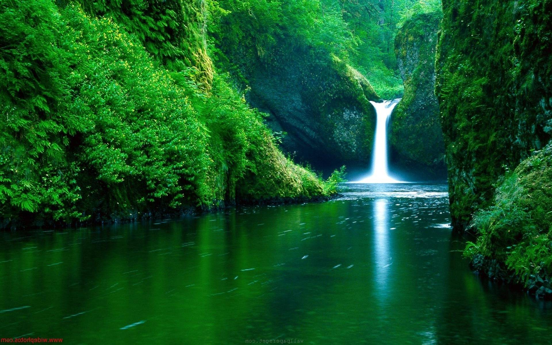 Cascata verde nella giungla, 1920x1200 Full HD+, Desktop