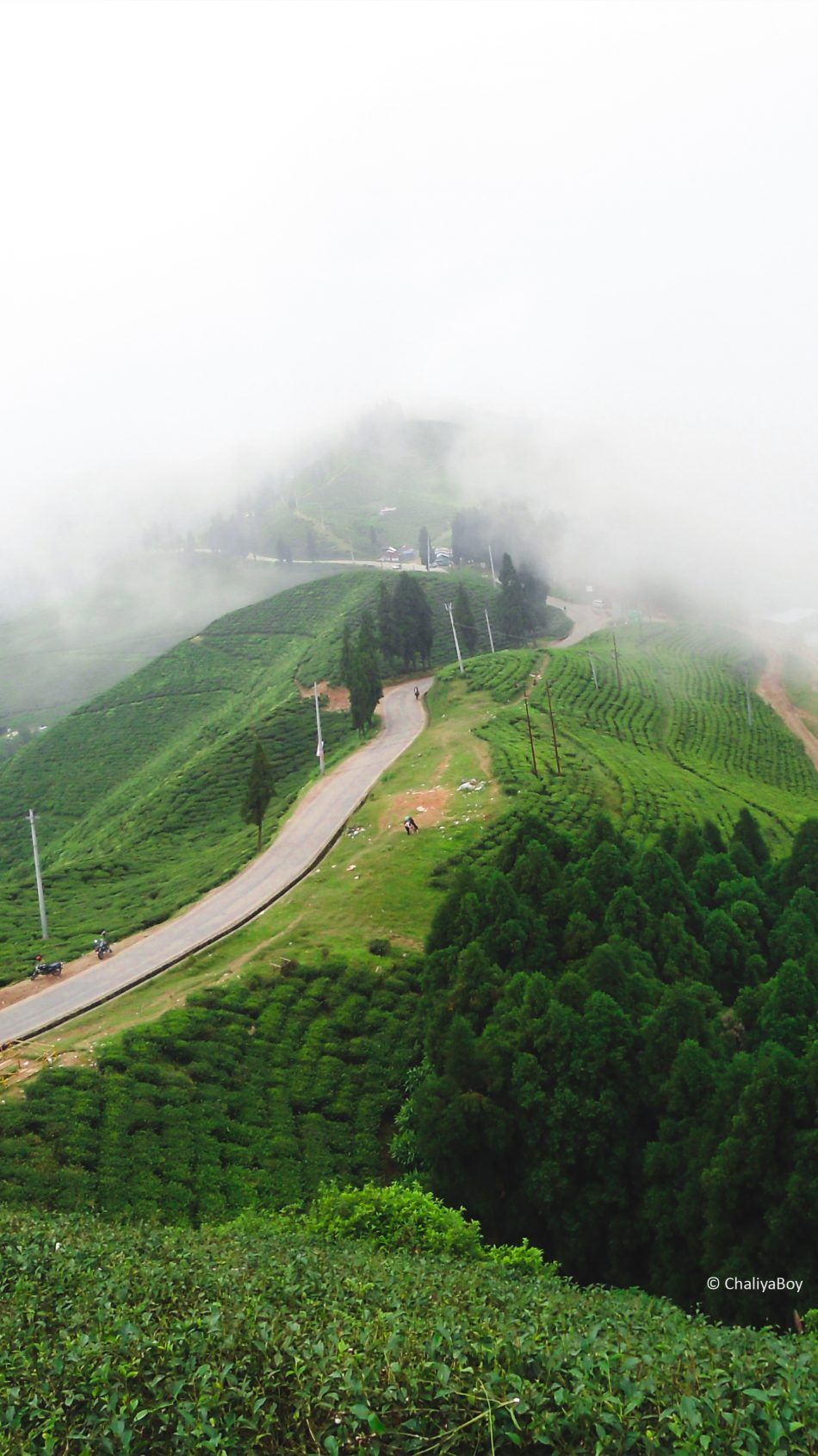 Collina verde con nebbia, 950x1689 Verticale, Telefono