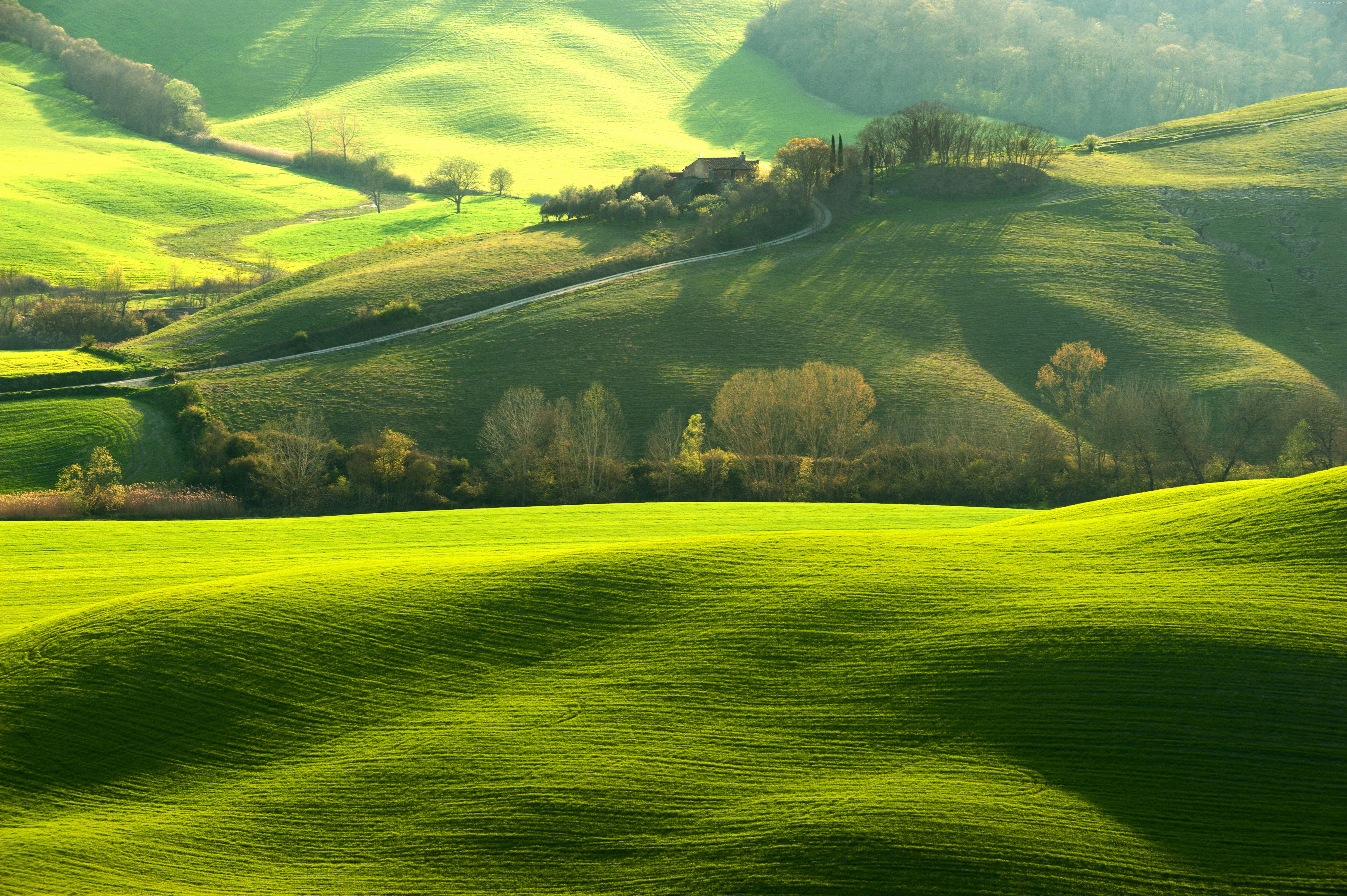 Colline verdi toscane, 8512x5664 4K, Desktop 4K