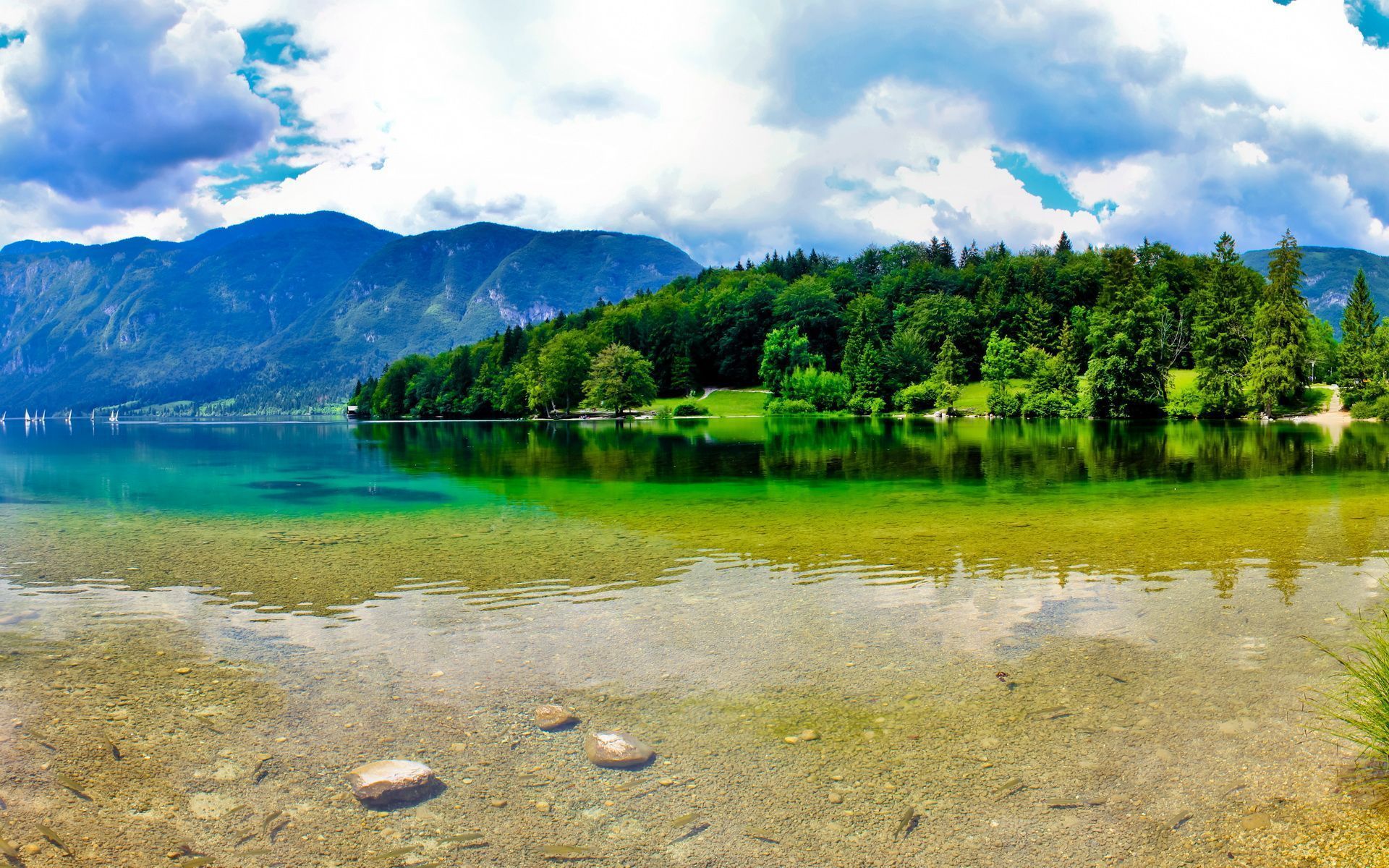 Lago montano con alberi verdi, 1920x1200 WUXGA, Laptop