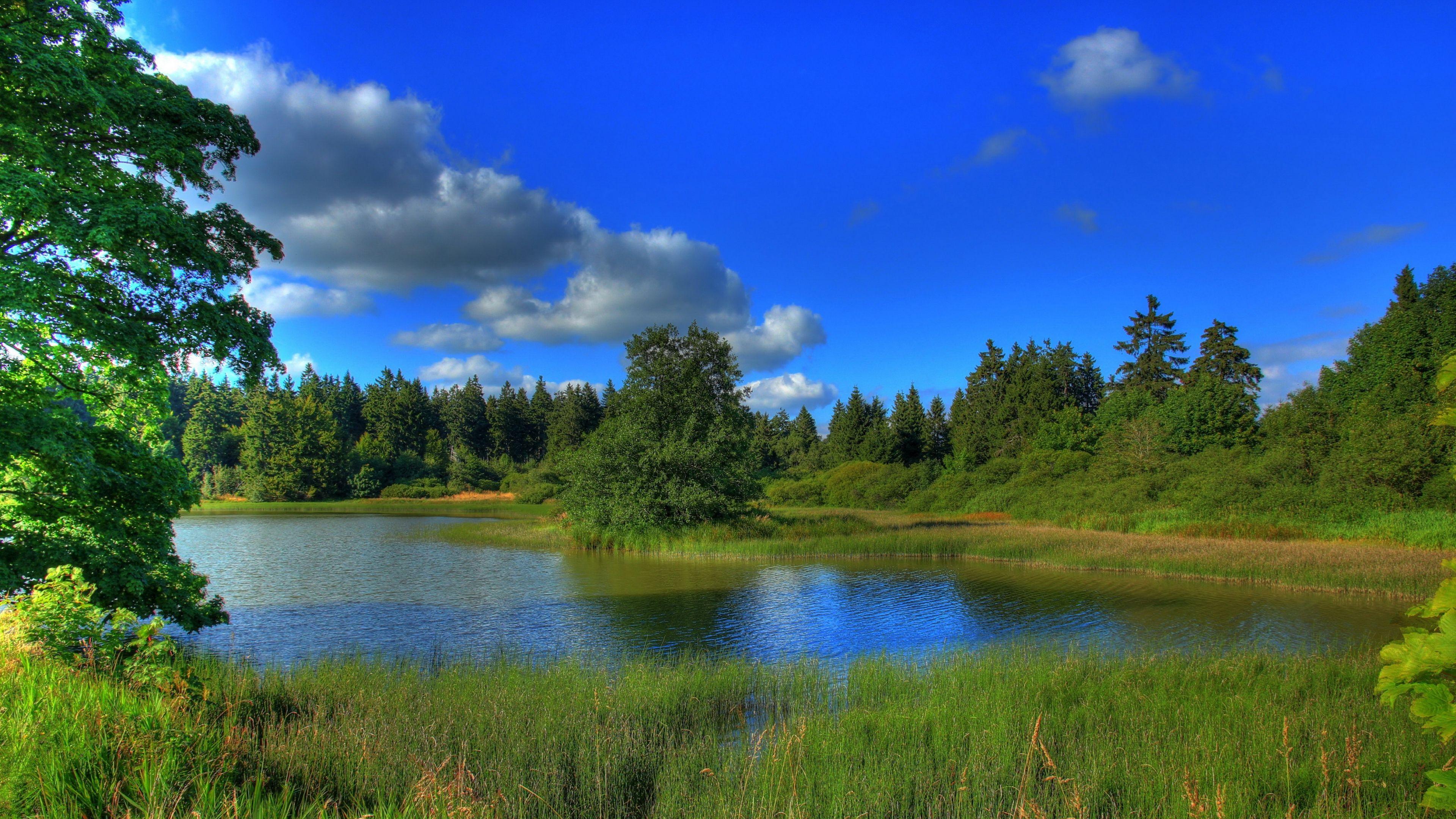Lago circondato da foresta verde, 3840x2160 Ultra HD, 4K TV