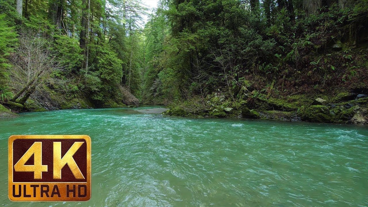 Fiume verde smeraldo nella foresta, 1280x720 720p, Laptop