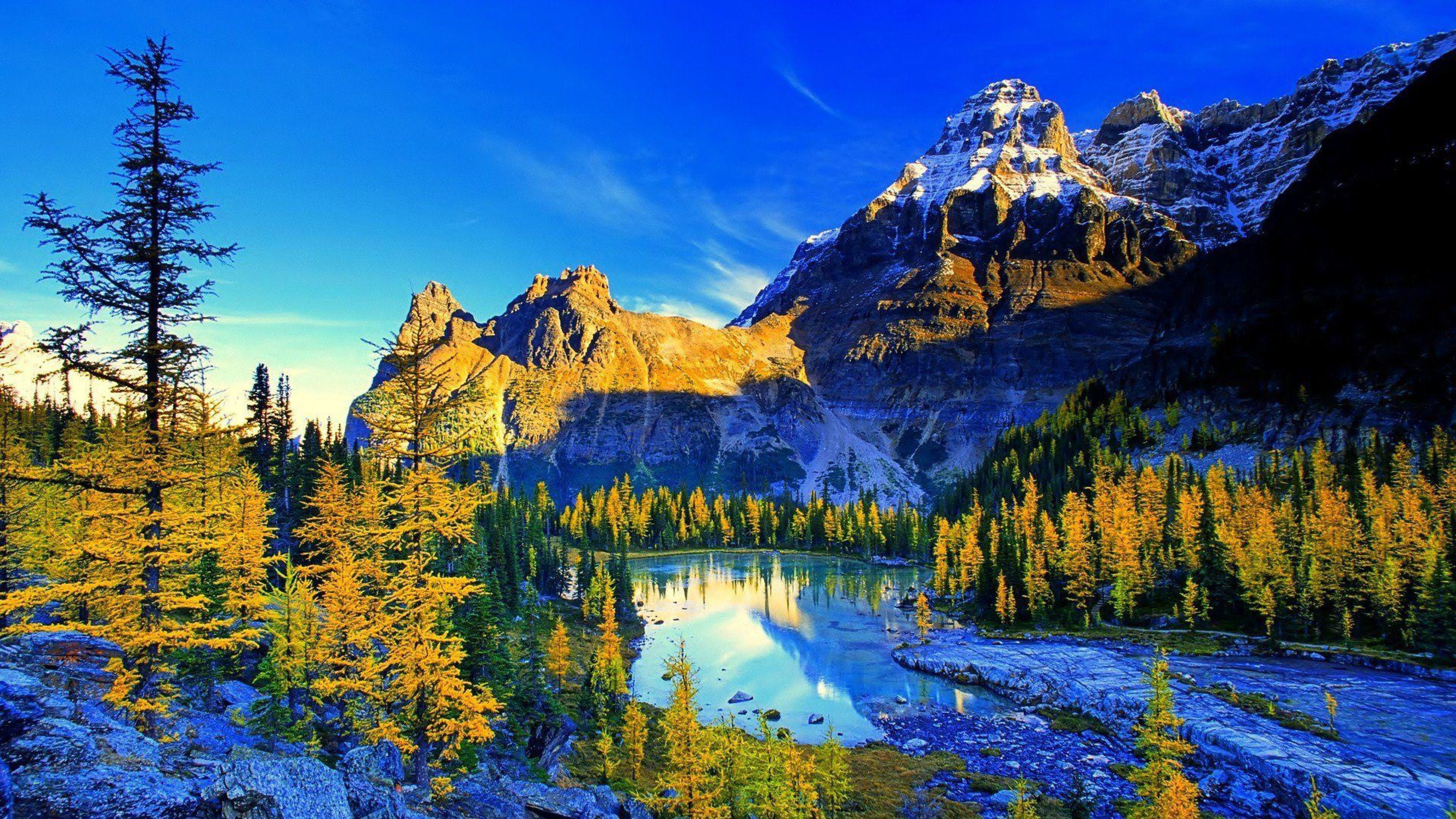 Lago montano con conifere autunnali, 7680x4320 4K Ultra HD, Monitor 4K