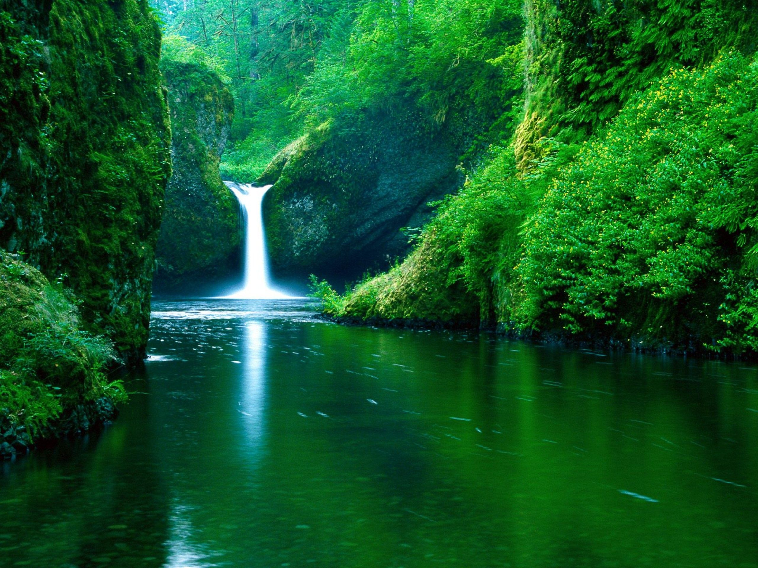 Cascata verde nella gola, 2560x1920 2K+, Desktop