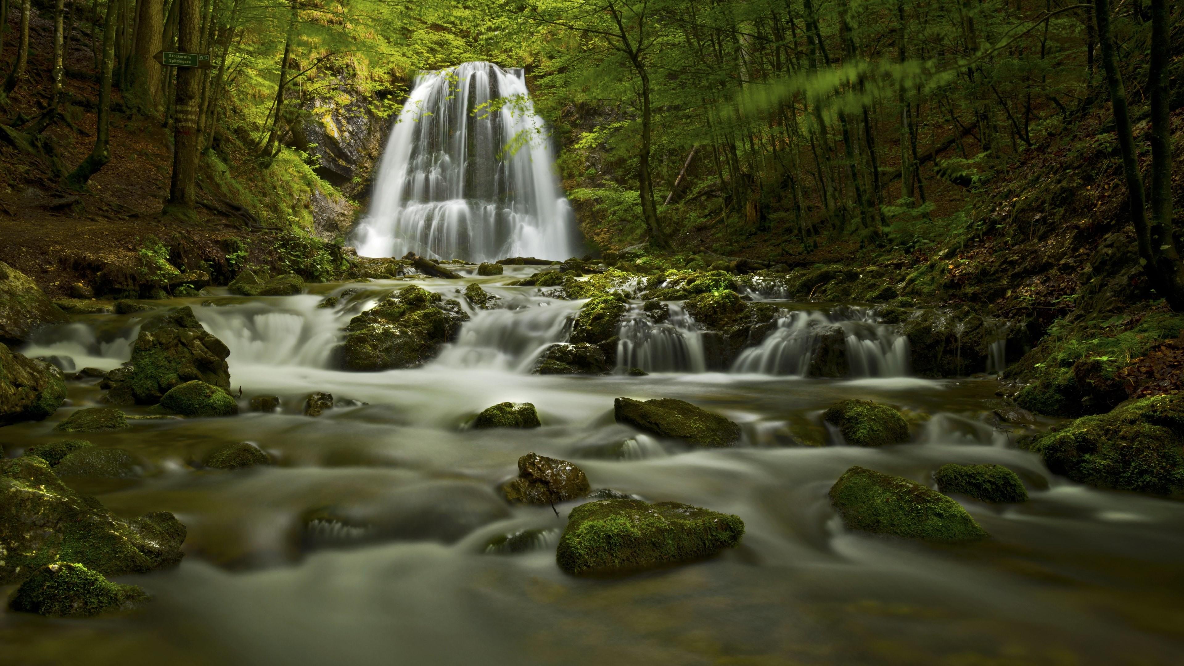 Cascata nella foresta verde, 3840x2160 Ultra HD, 4K TV