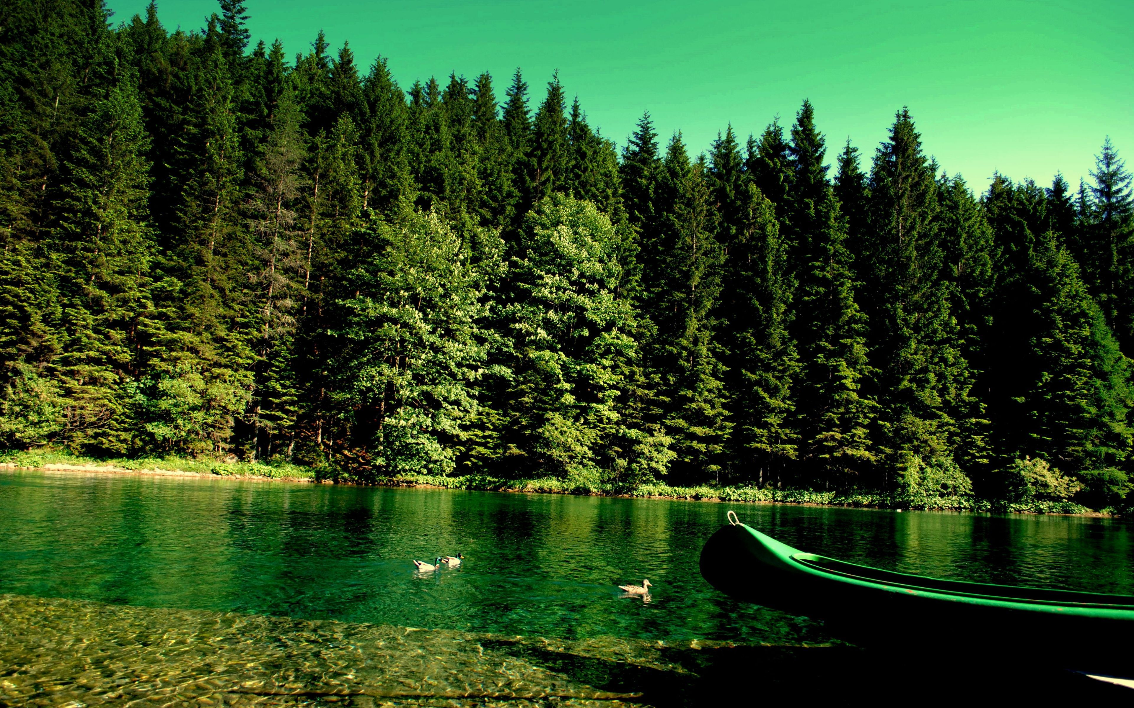 Lago verde con barca e pini, 3840x2400 4K Ultra HD, Monitor 4K
