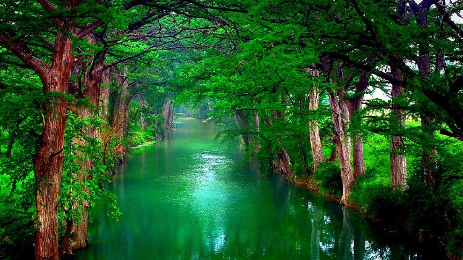 Fiume verde nella foresta, 1920x1080 Full HD, PC Desktop