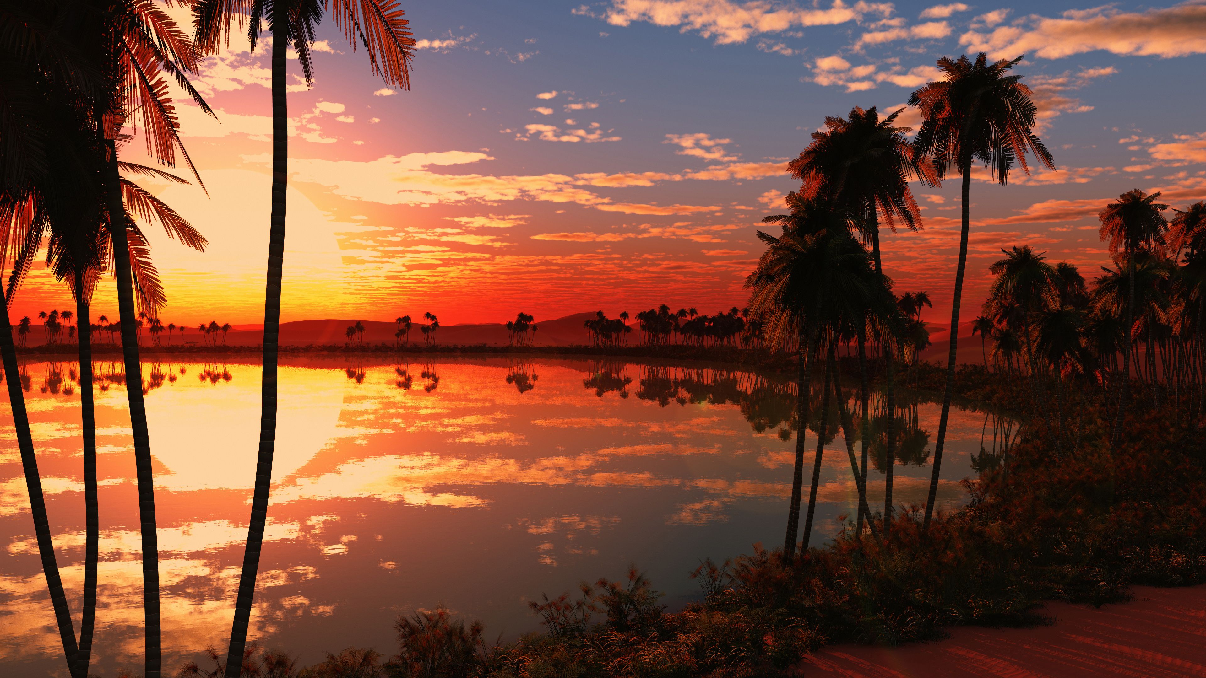 Lago al tramonto con palme, 3840x2160 4K Ultra HD, Monitor 4K