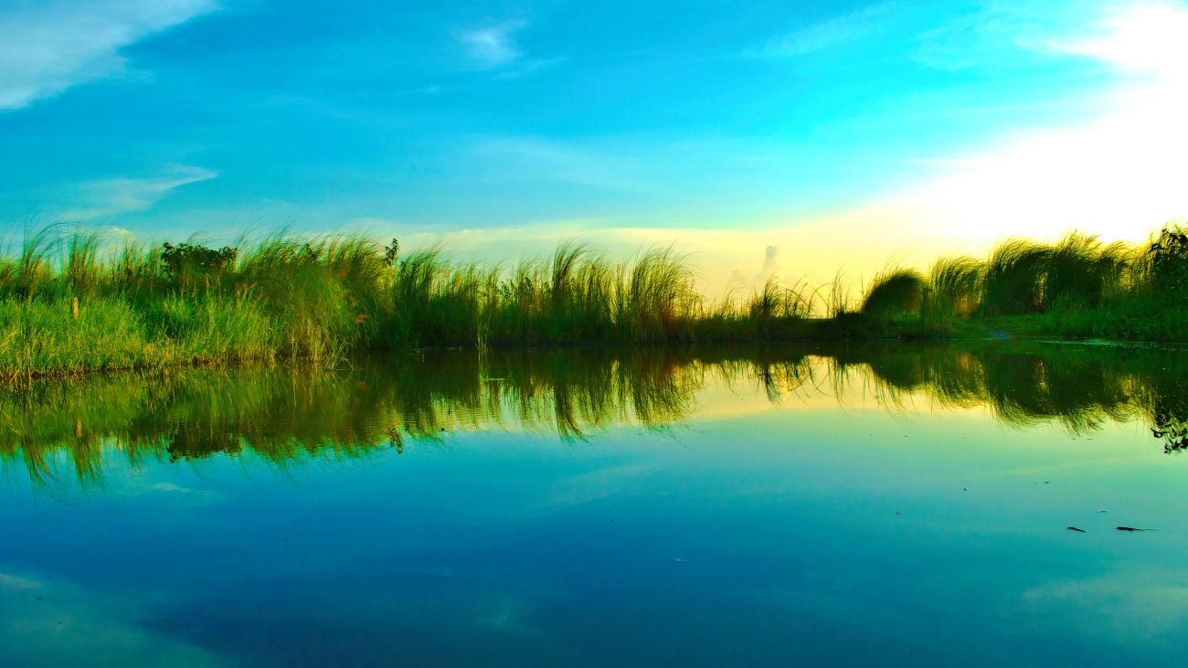 Lago tramonto riflesso erba, 1300x731 HD, Desktop