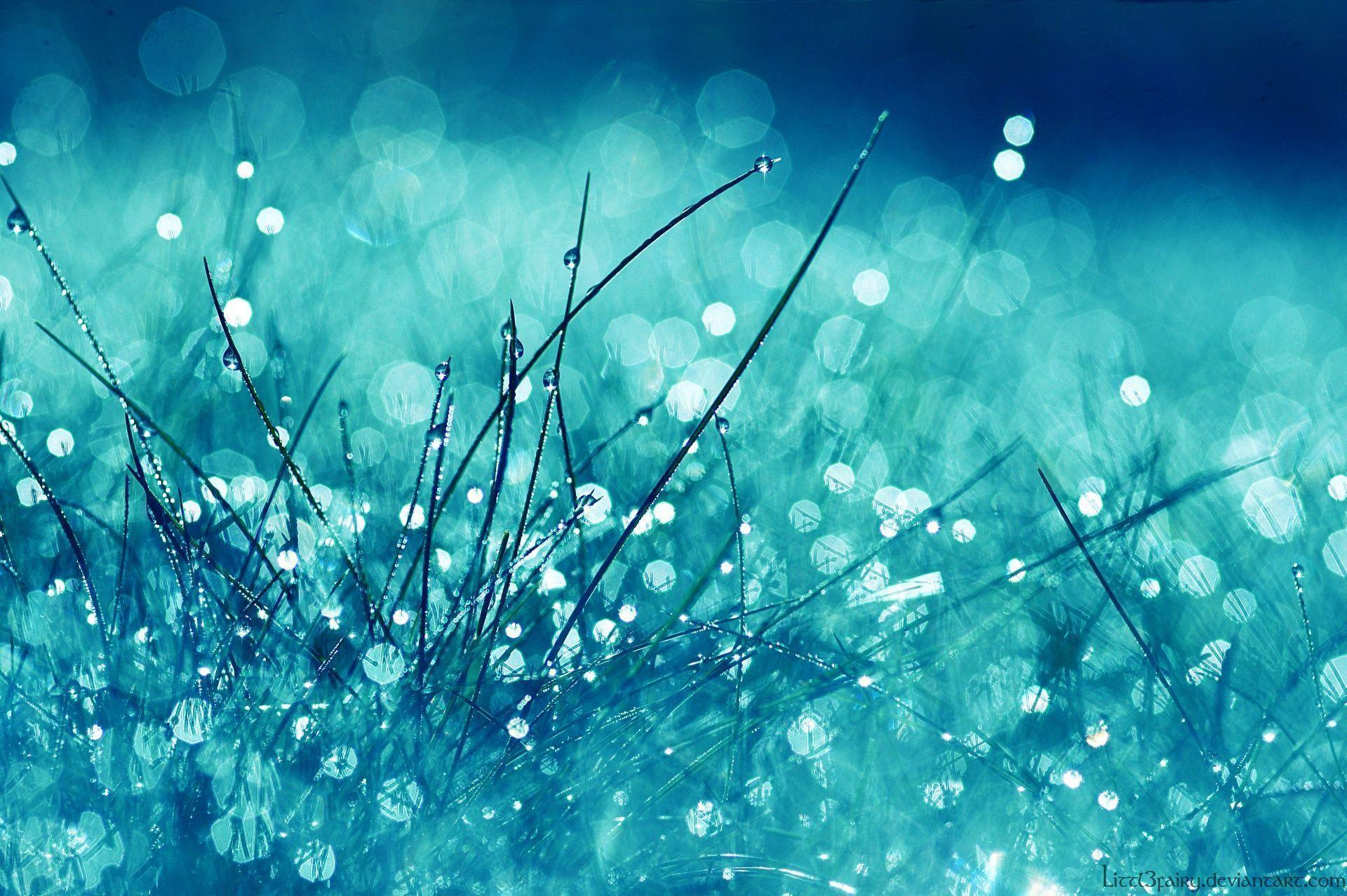 Erba turchese con bokeh luminoso, 1920x1277 Full HD+ WUXGA, iMac