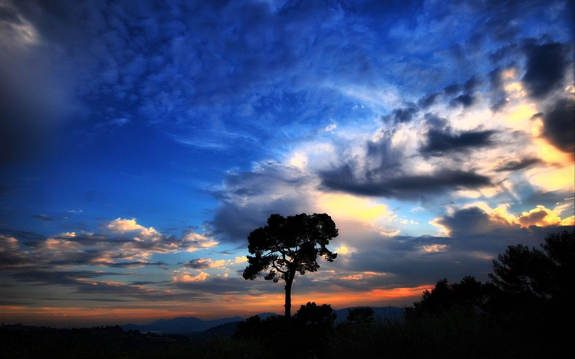 Albero silhouette tramonto cielo blu, 1920x1200 WUXGA, PC Desktop