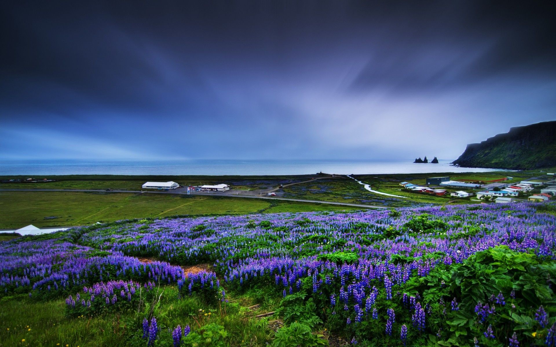 Campo di lupini viola costa, 1920x1200 Full HD+, PC