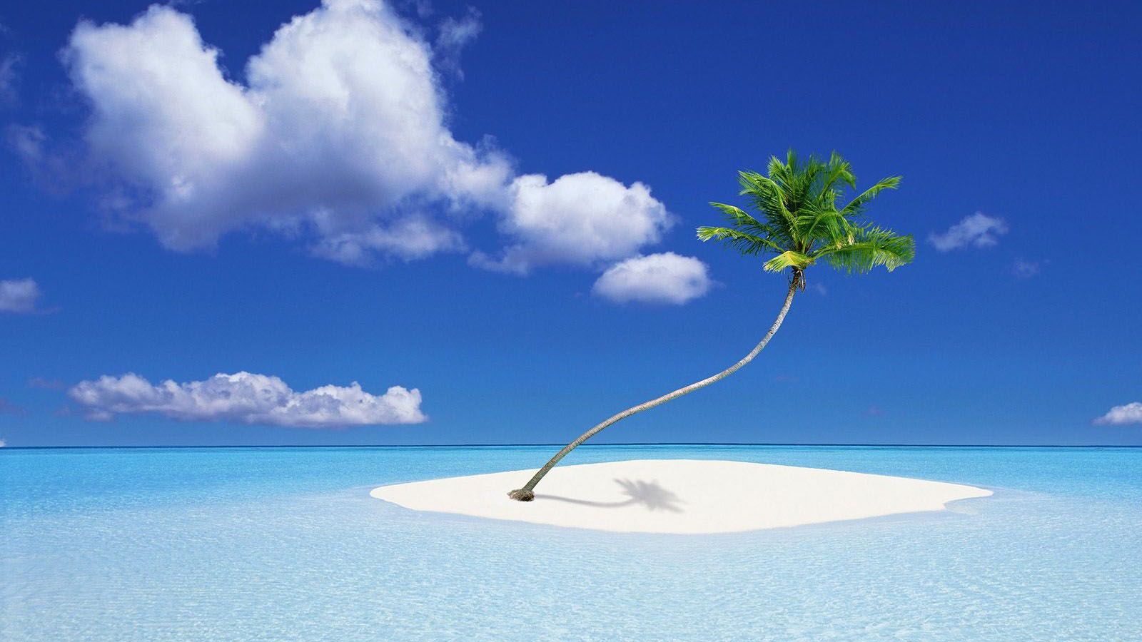 Isola tropicale con palma, 1600x900 HD Ready, Laptop