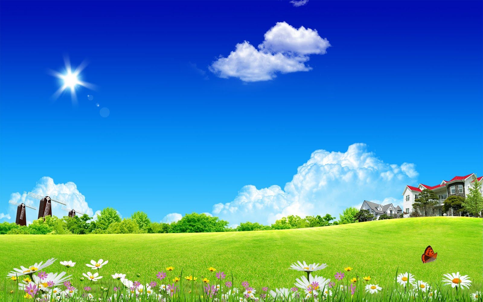 Prato verde con casa e fiori, 1600x1000 900p, Desktop