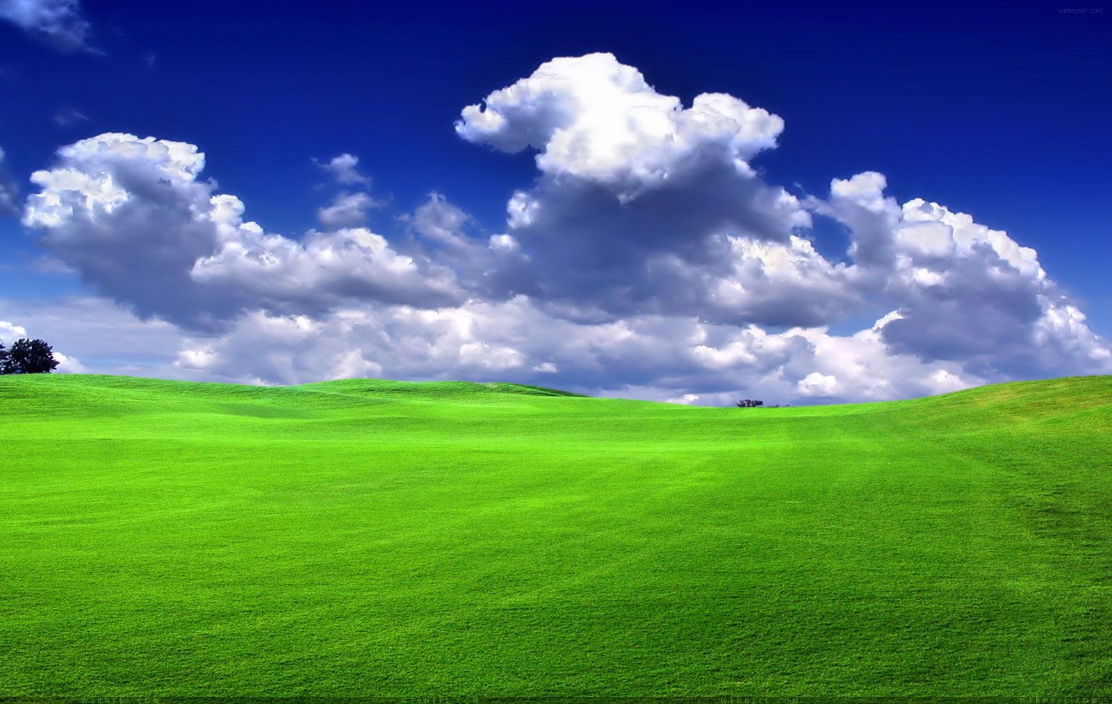 Prato verde e cielo nuvoloso, 1600x1014 HD, Laptop