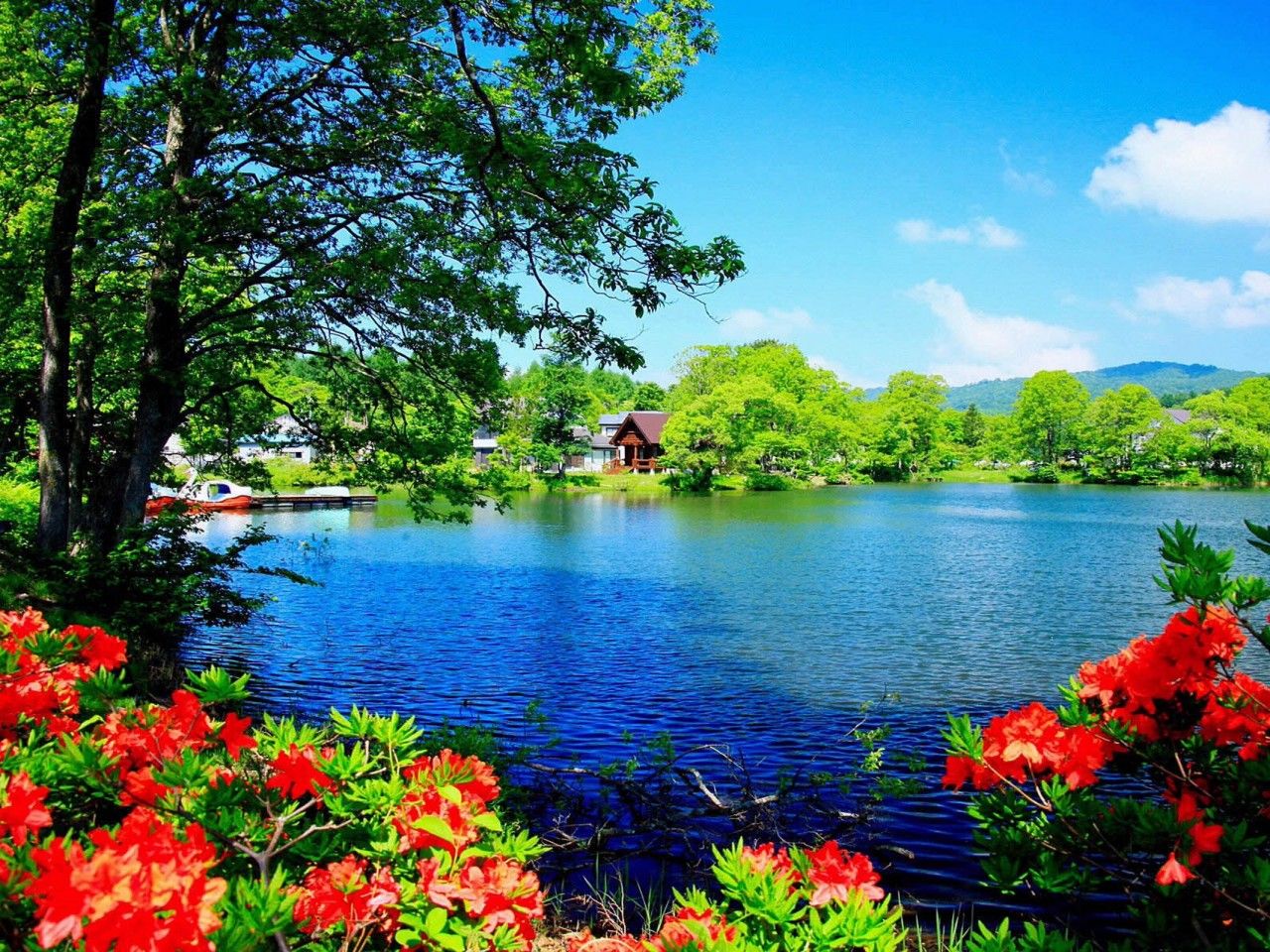 Lago blu con fiori rossi, 1280x960 HD, Desktop