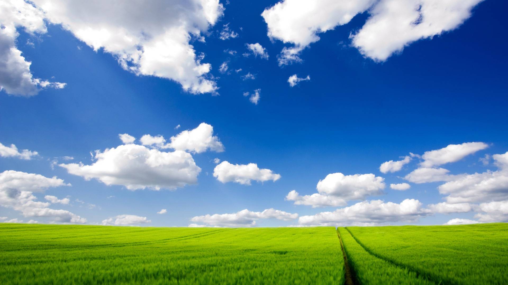 Campo verde e cielo blu, 1920x1080 Full HD 1080p, Desktop