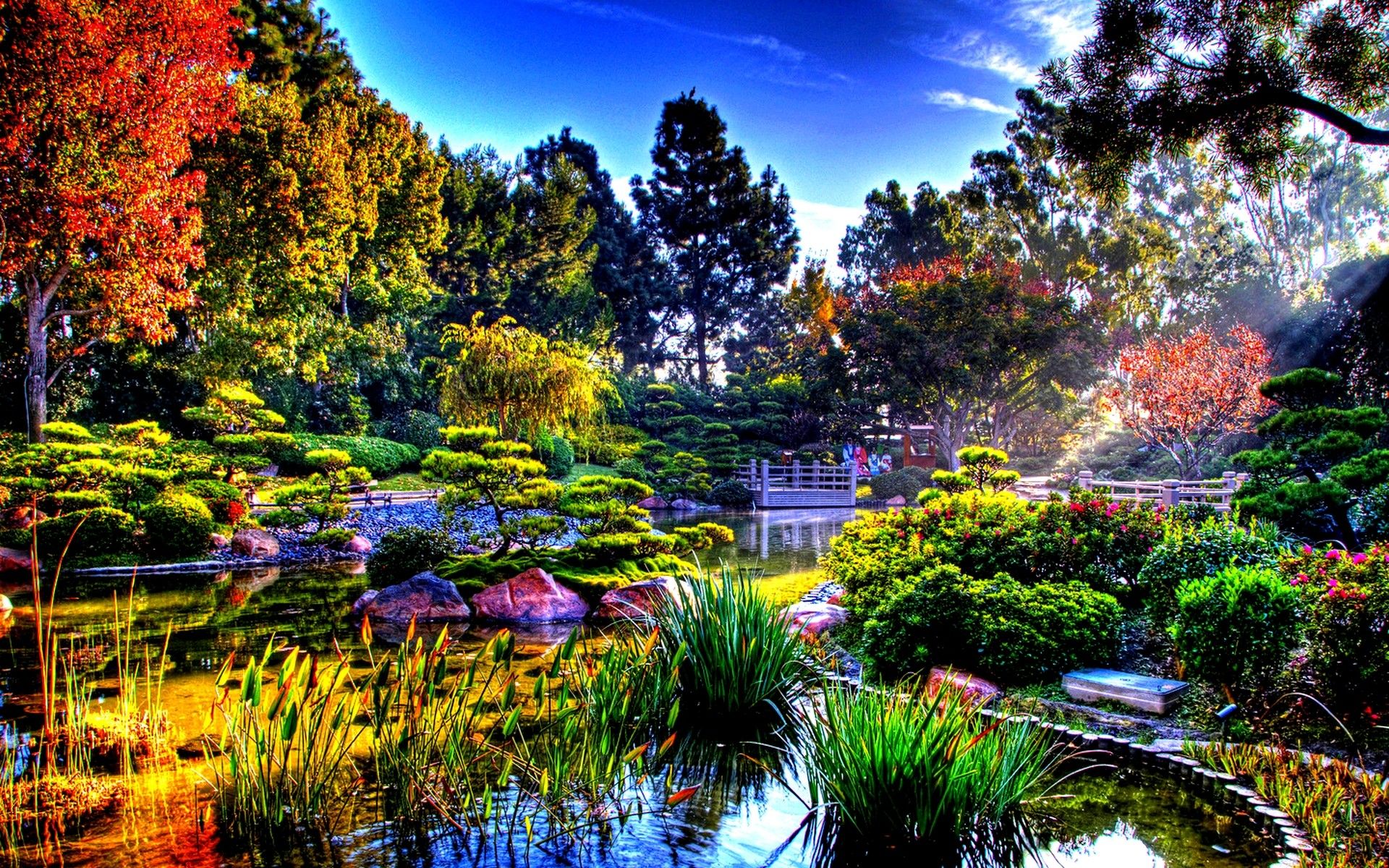 Campi di fiori colorati, 1600x1200 900p, Laptop