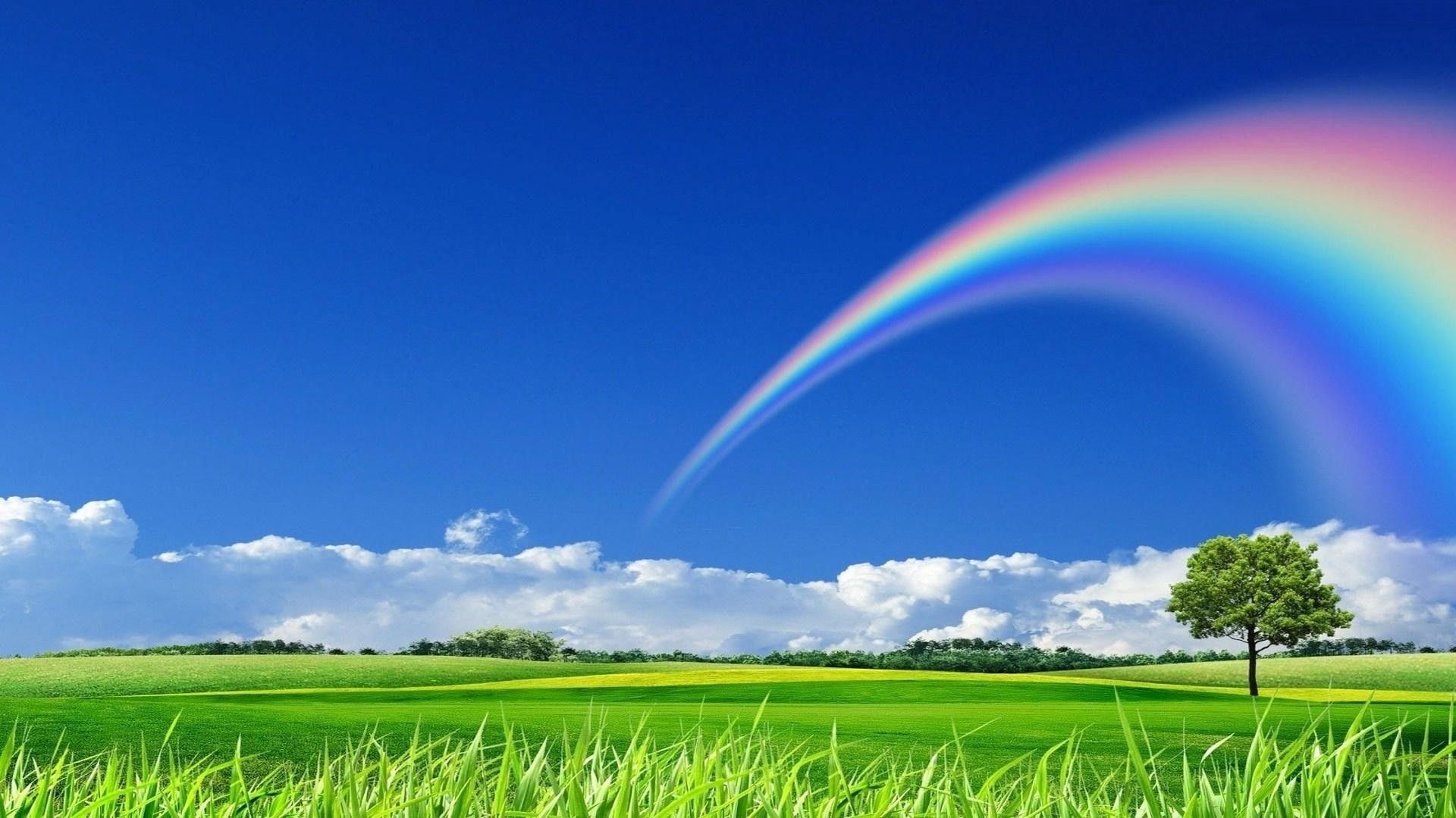 Arcobaleno su prato verde, 1920x1080 1080p, Laptop
