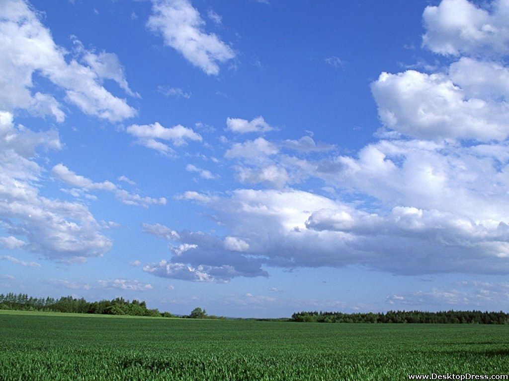 Campo verde e cielo blu, 1024x768 HD, Desktop