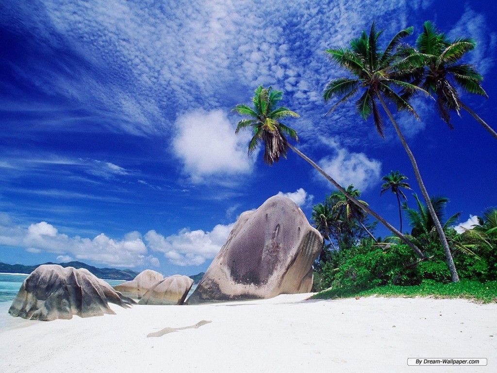Spiaggia tropicale con rocce e palme, 1024x768 HD, PC