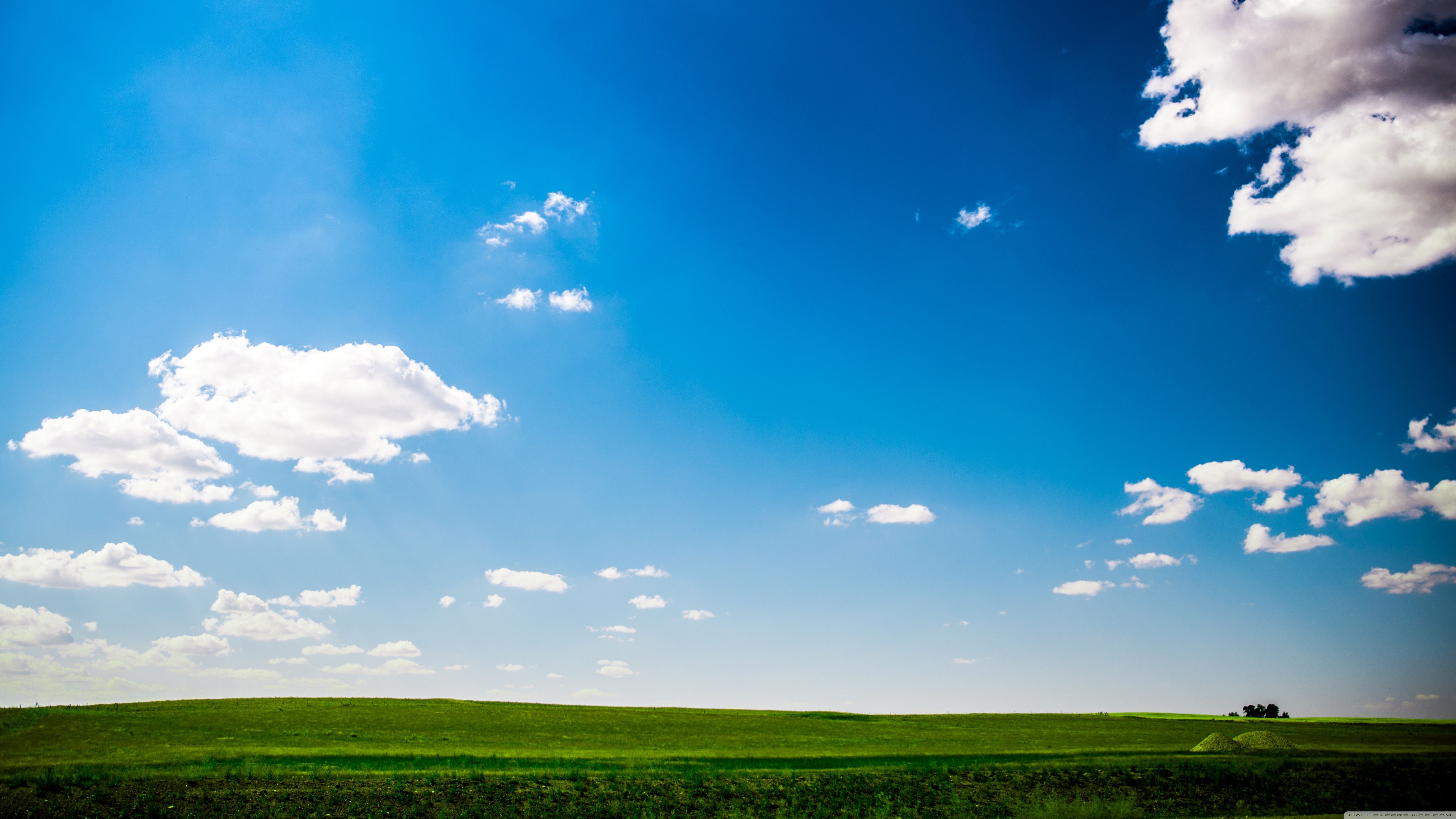 Campo verde e cielo blu, 5120x2880 4K, Desktop 4K