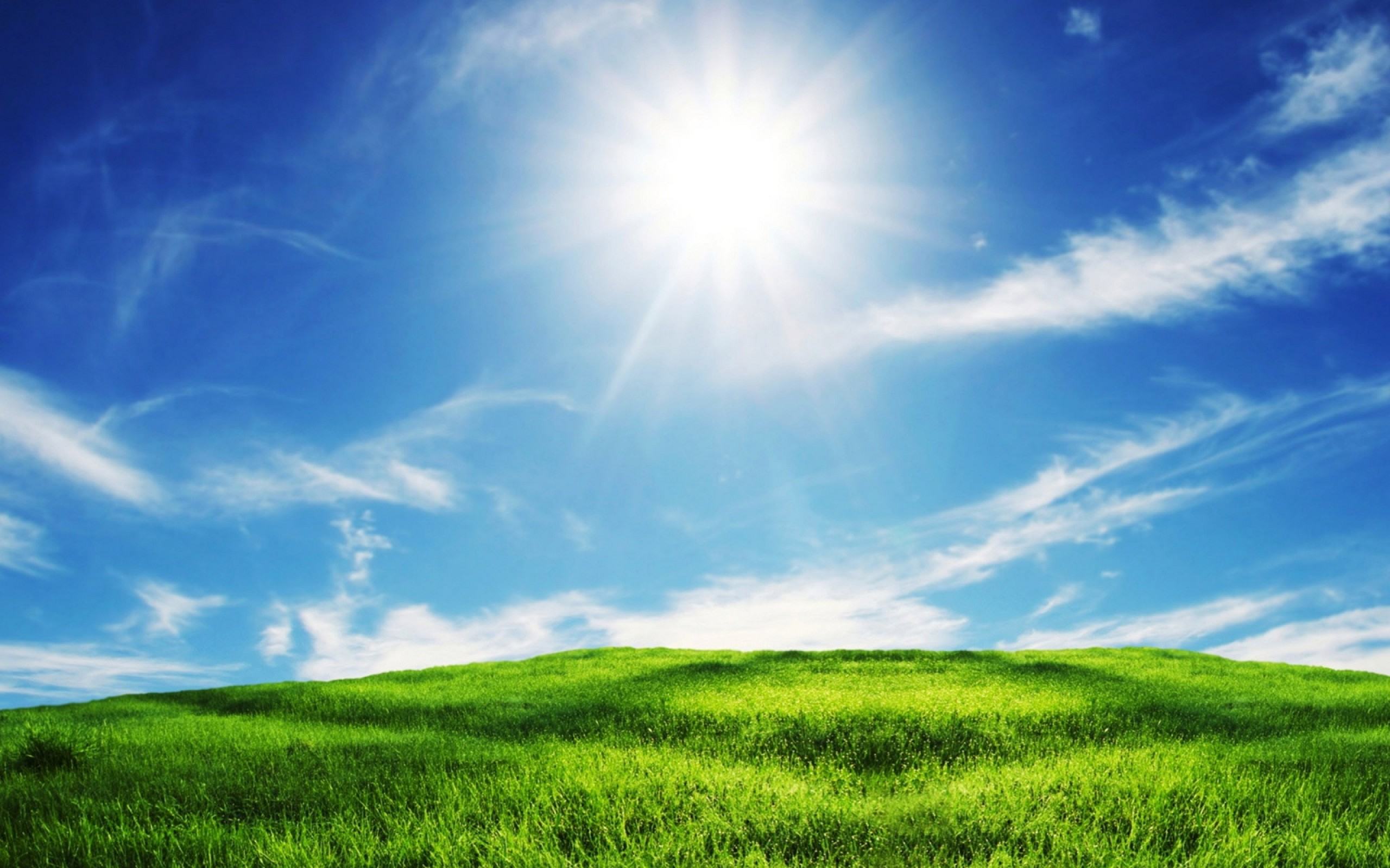 Prato verde e cielo blu soleggiato, 2560x1600 2K+, Desktop