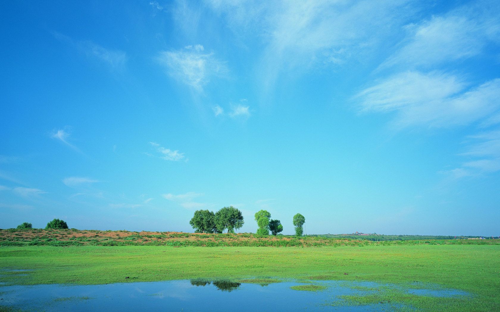 Prateria verde con cielo blu, 1680x1050 HD, PC