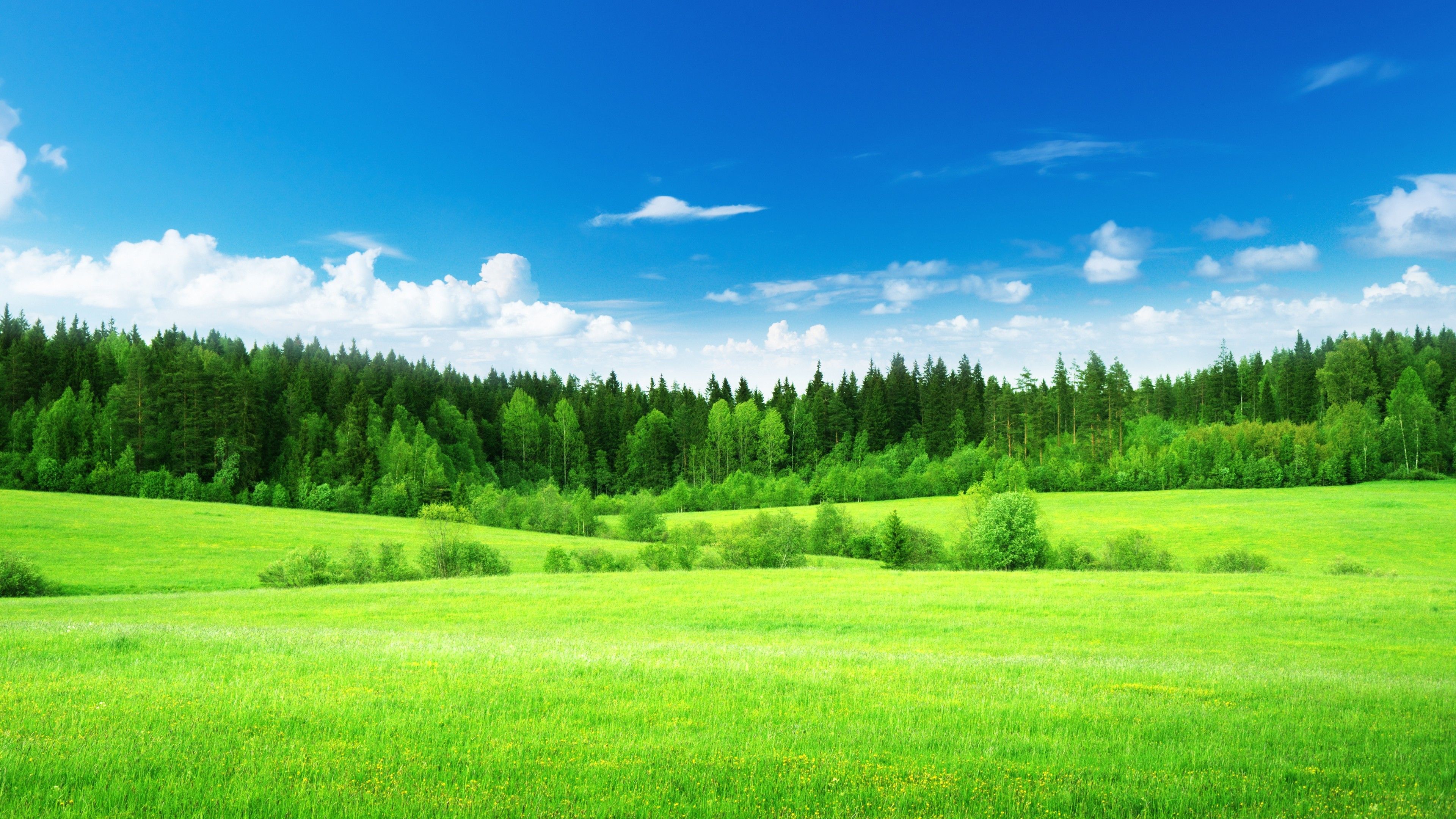 Prato verde e cielo blu, 3840x2160 Ultra HD, 4K TV