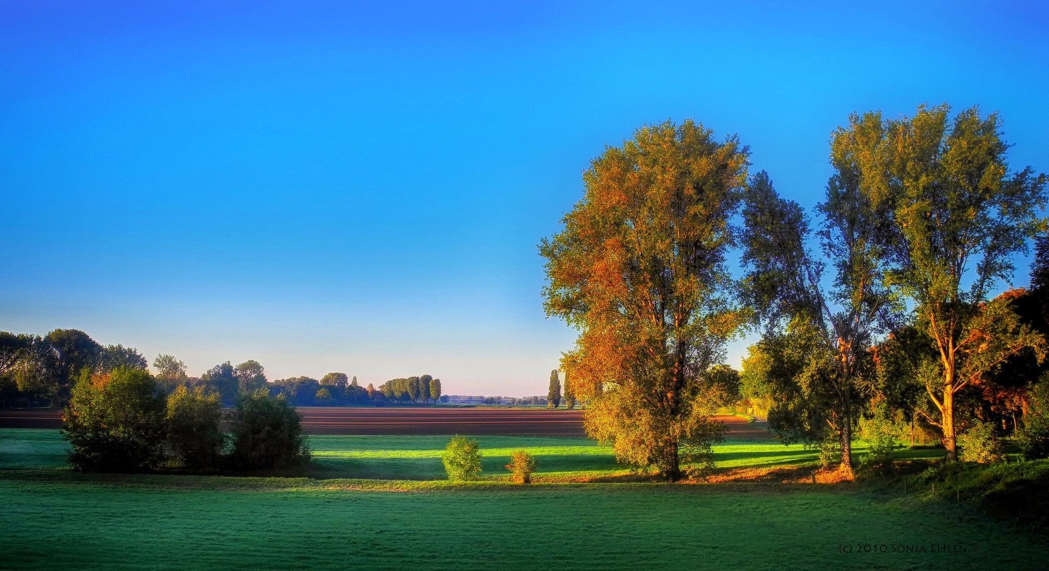Campagna con alberi e cielo blu, 2048x1116 2K, PC
