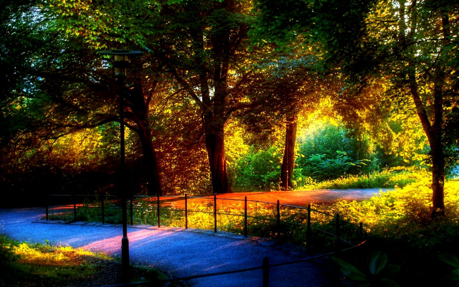 Laghetto e albero fiorito, 1920x1200 Full HD+ WUXGA, Laptop