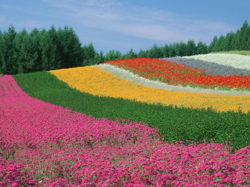 di Natura, 2880x1800 WQXGA, Desktop