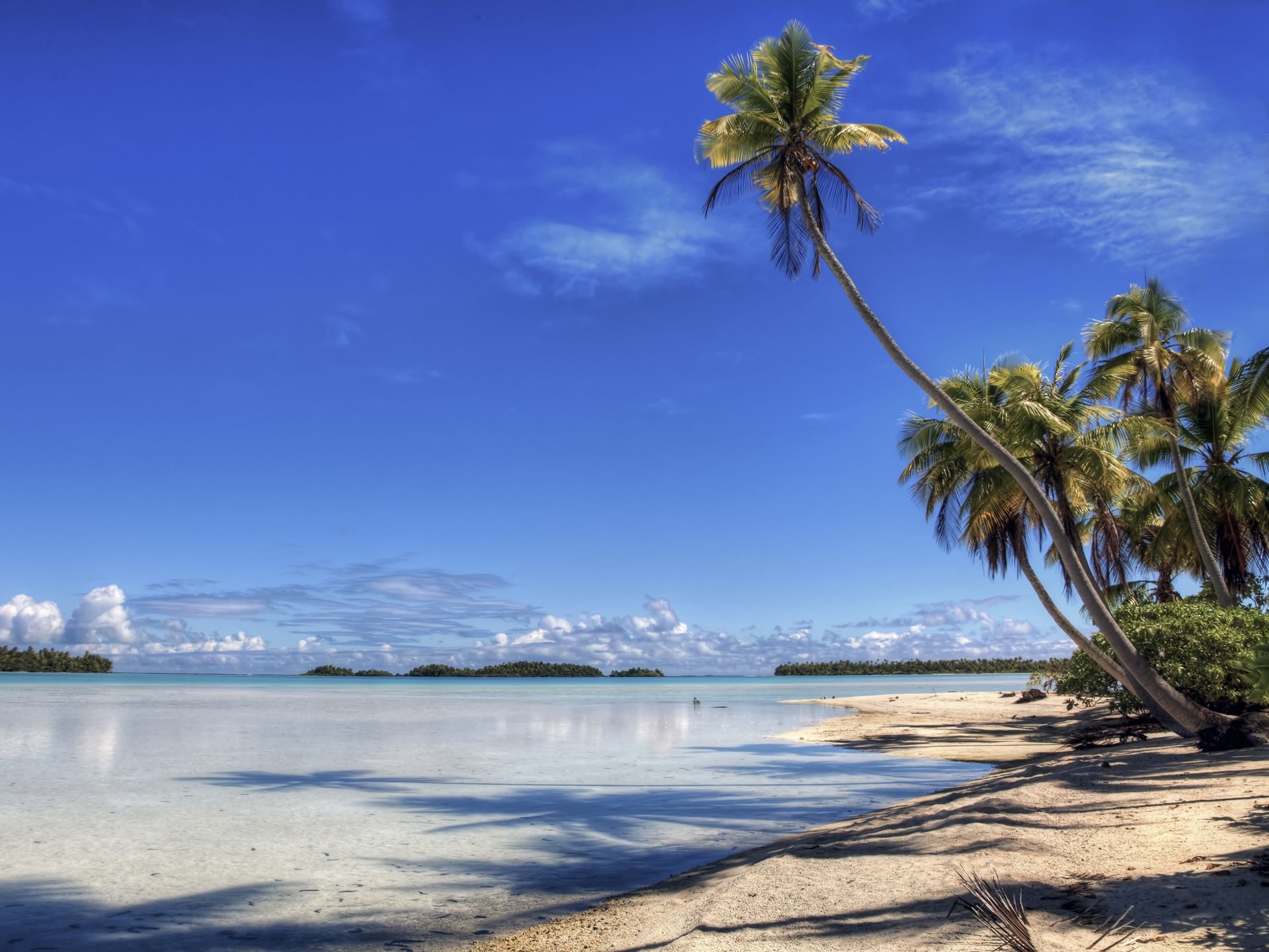 Palma inclinata su spiaggia tropicale, 1920x1440 Full HD+, PC Desktop