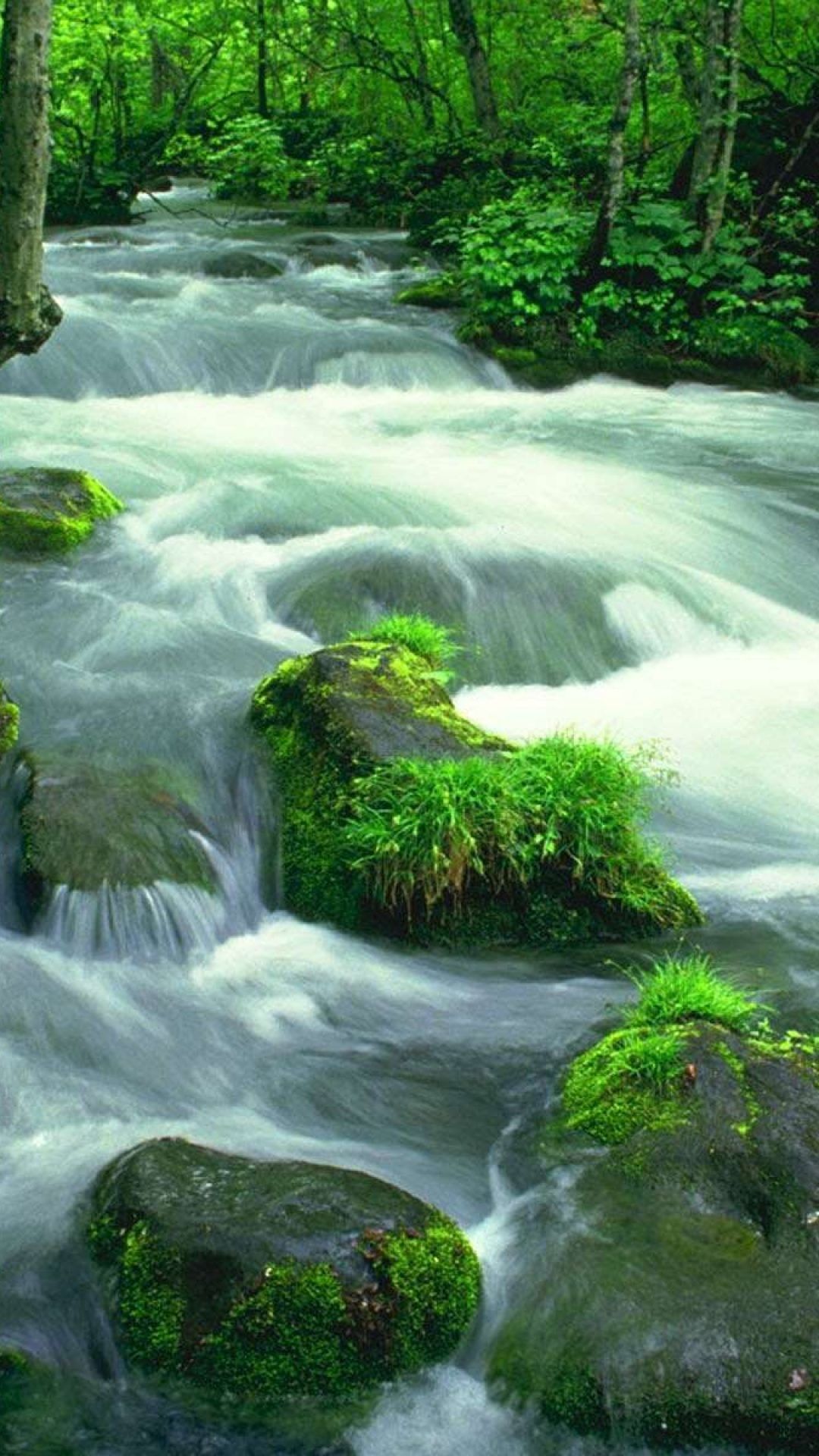 Fiume tra rocce muschiate verdi, 1080x1920 Verticale, Mobile