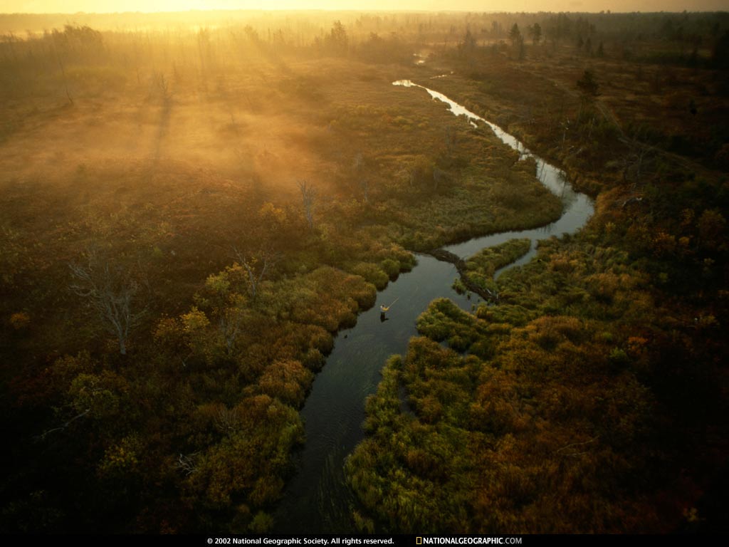 Sentiero autunnale con foglie dorate, 1280x960 HD, Desktop
