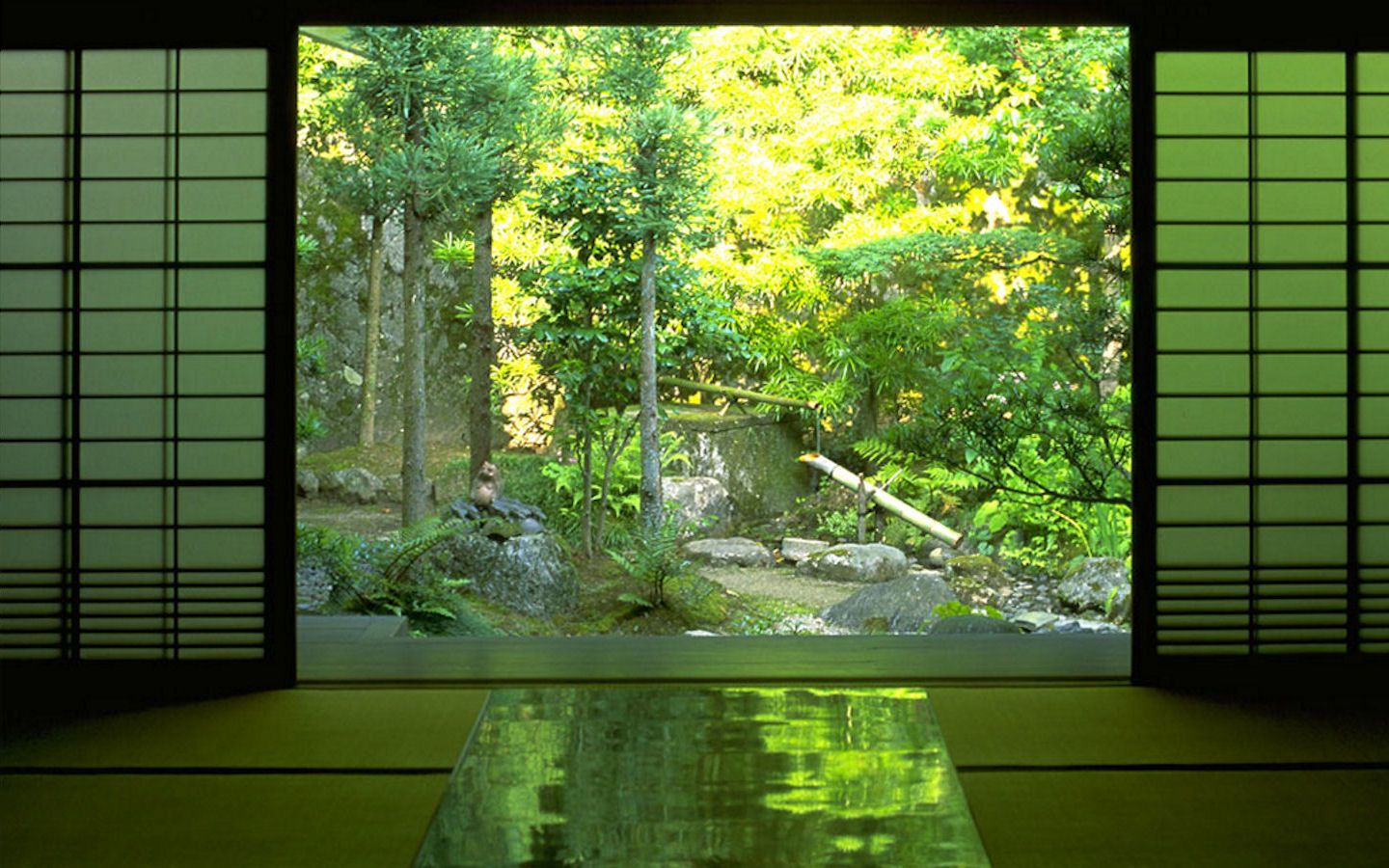 Finestra shoji giardino verde giapponese, 1440x900 720p, PC