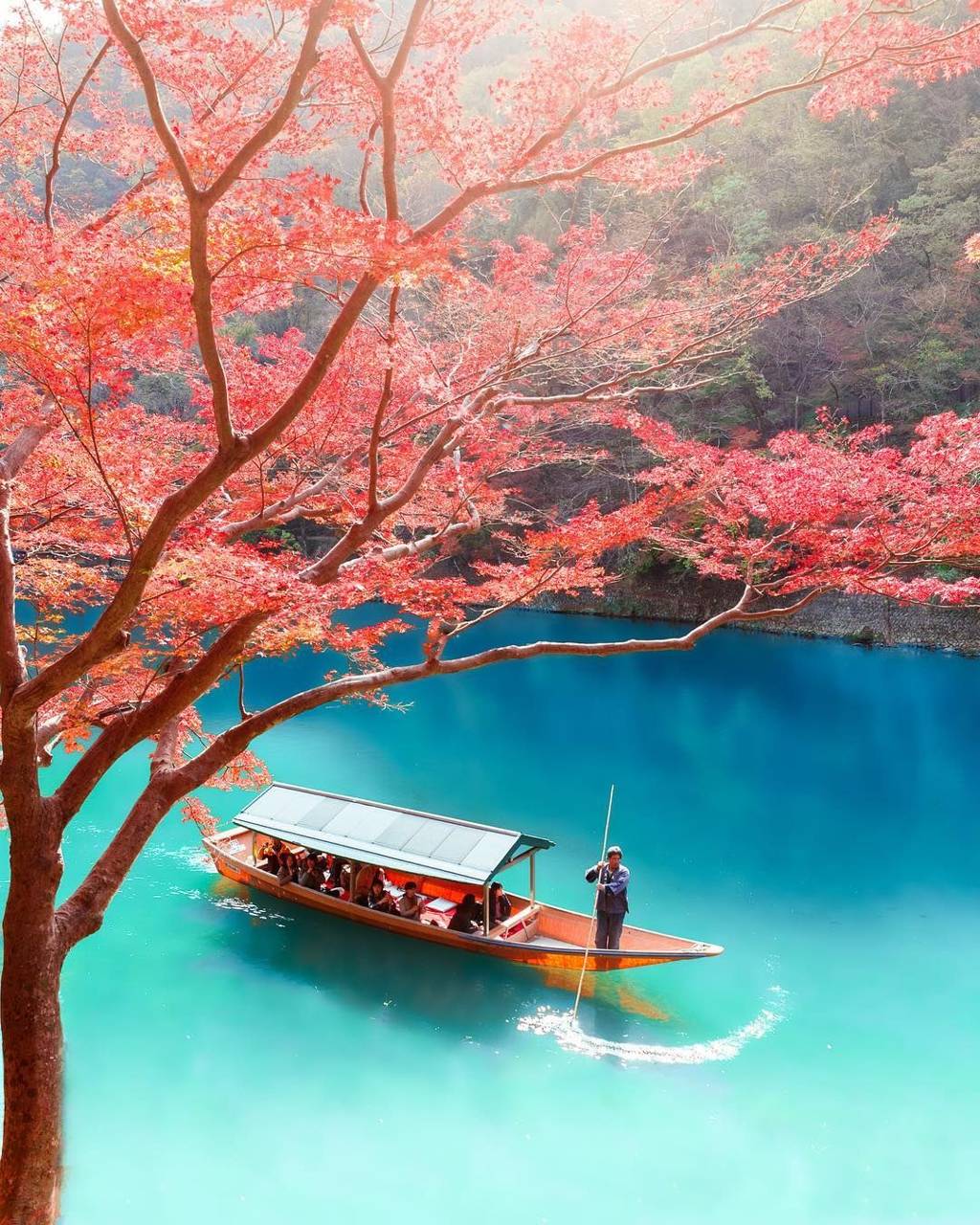 Barca lago turchese albero rosso, 1024x1280 Verticale, Telefono