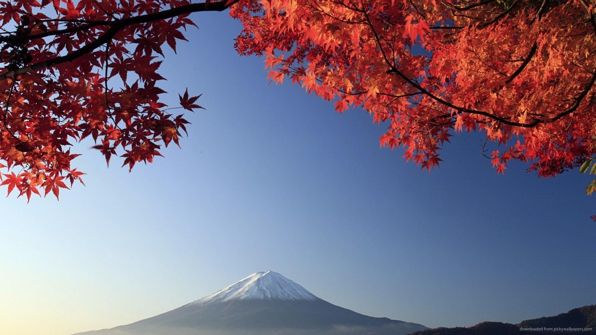 Monte Fuji con foglie autunnali, Giappone, 1920x1080 Full HD 1080p, PC