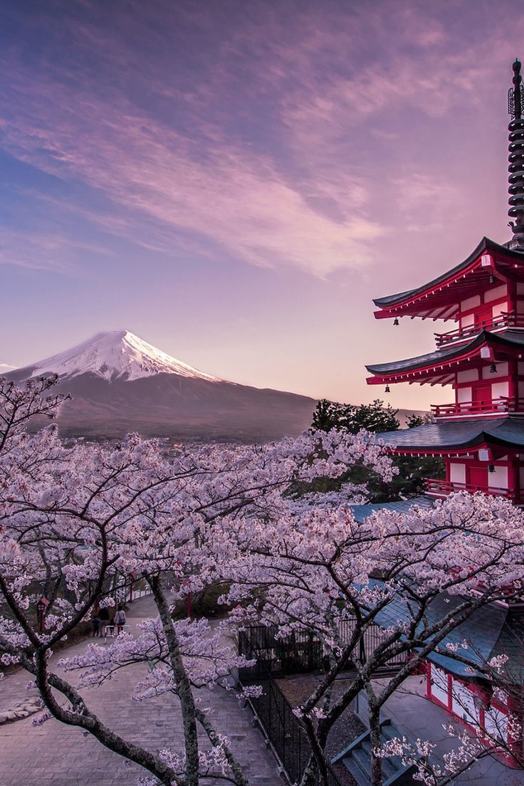Pagoda e Monte Fuji, sakura, vulcano, 736x1104 Verticale, Mobile