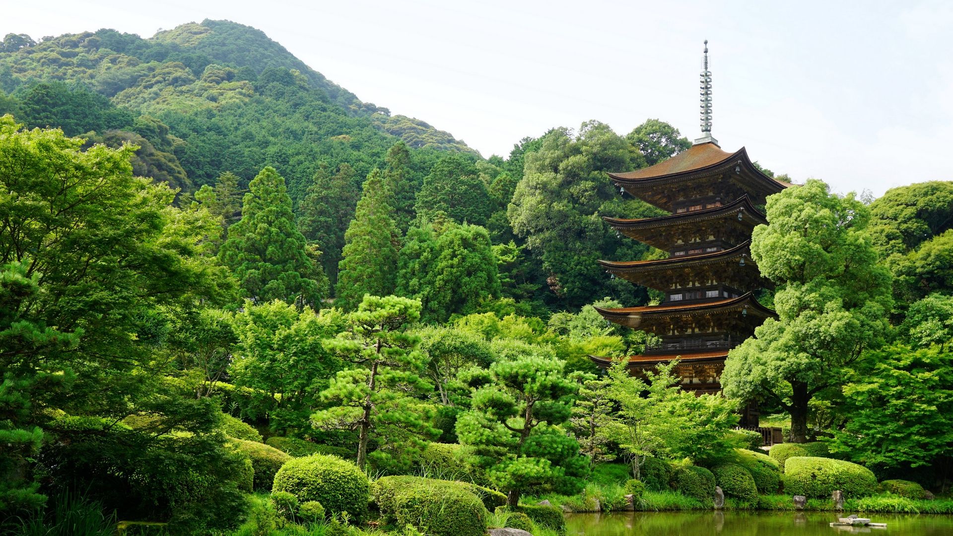 Pagoda giapponese tra alberi verdi, 1920x1080 Full HD 1080p, PC