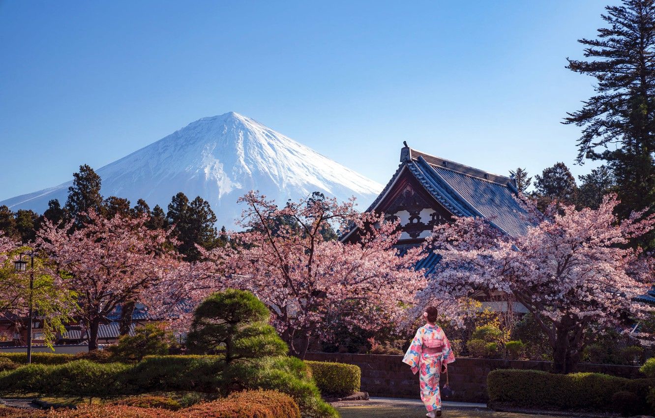 Monte Fuji con ciliegi in fiore, 1332x850 720p, Acer Nitro