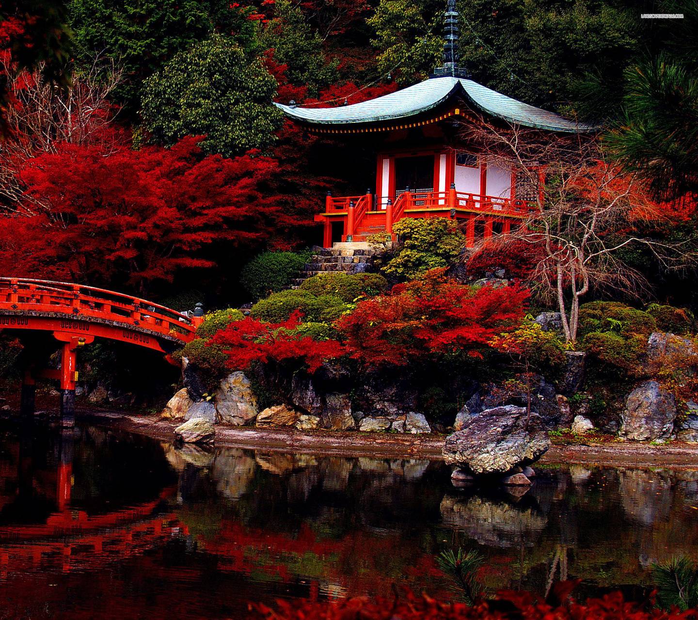 Pagoda giapponese con foglie rosse, 1440x1280 HD, Desktop