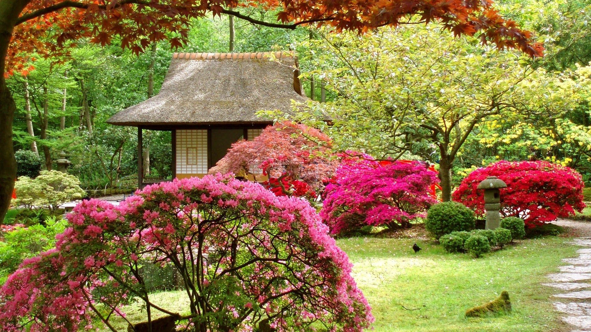 Giardino giapponese con azalee, 1920x1080 1080p, Laptop