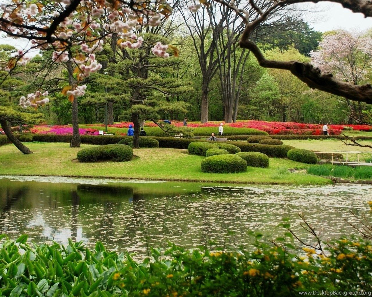 Giardino giapponese con fiori, 1280x1024 HD, Desktop