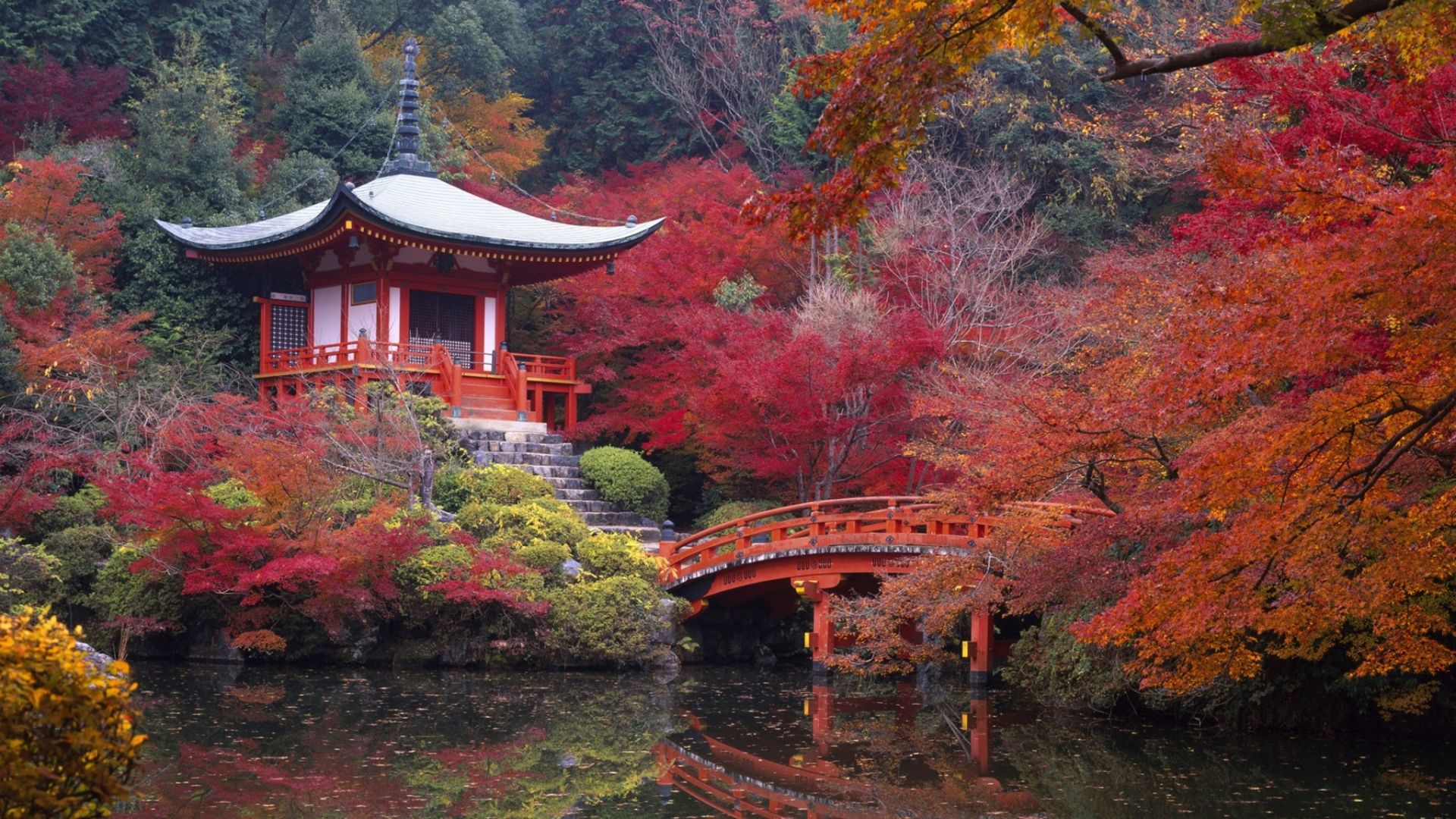 Tempio giapponese con ponte autunnale, 1920x1080 1080p, Desktop