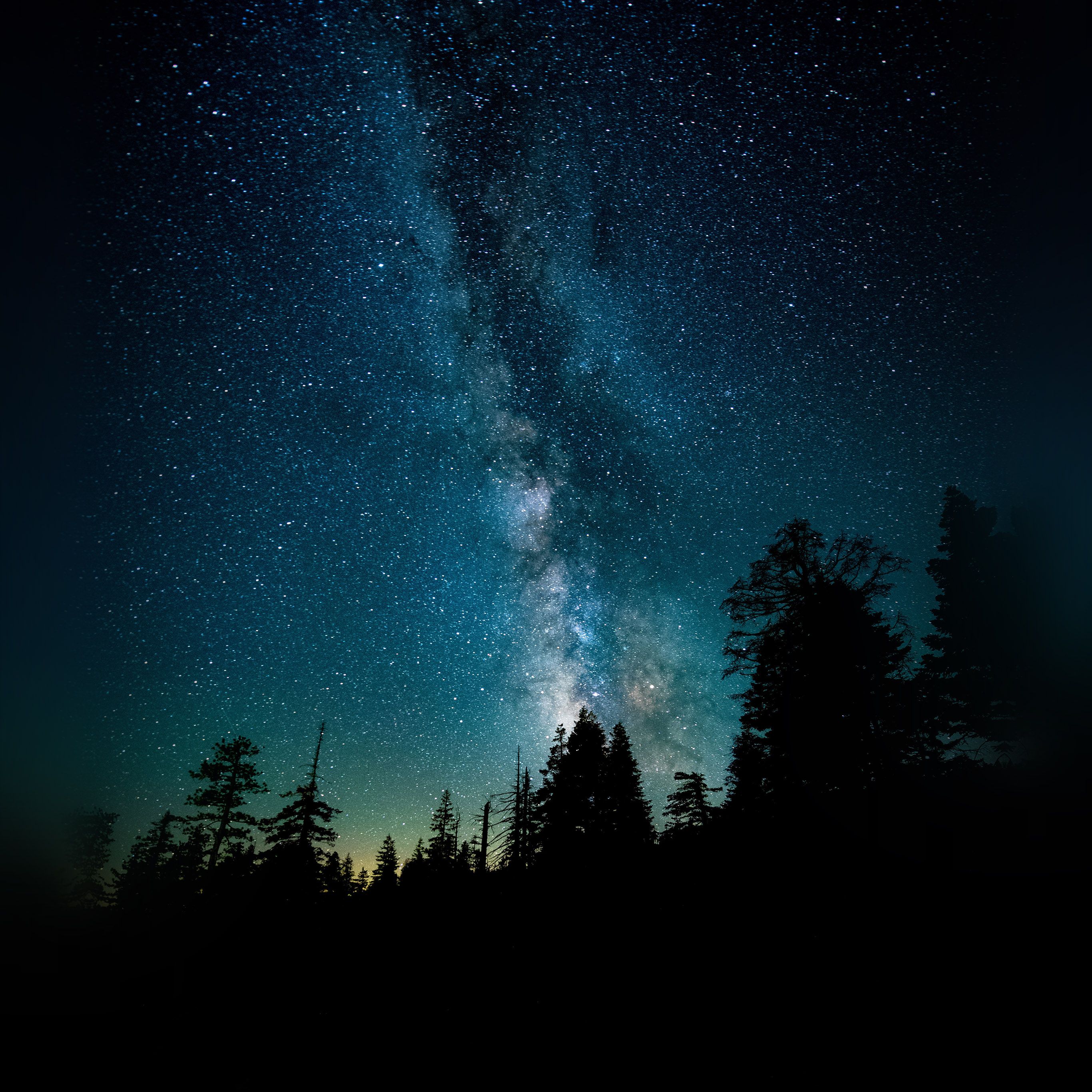 cielo stellato via lattea foresta, 2732x2732 2K, Monitor Gaming